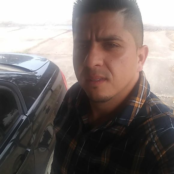 Meet your Posher, Oscar - Picture 1 of 1